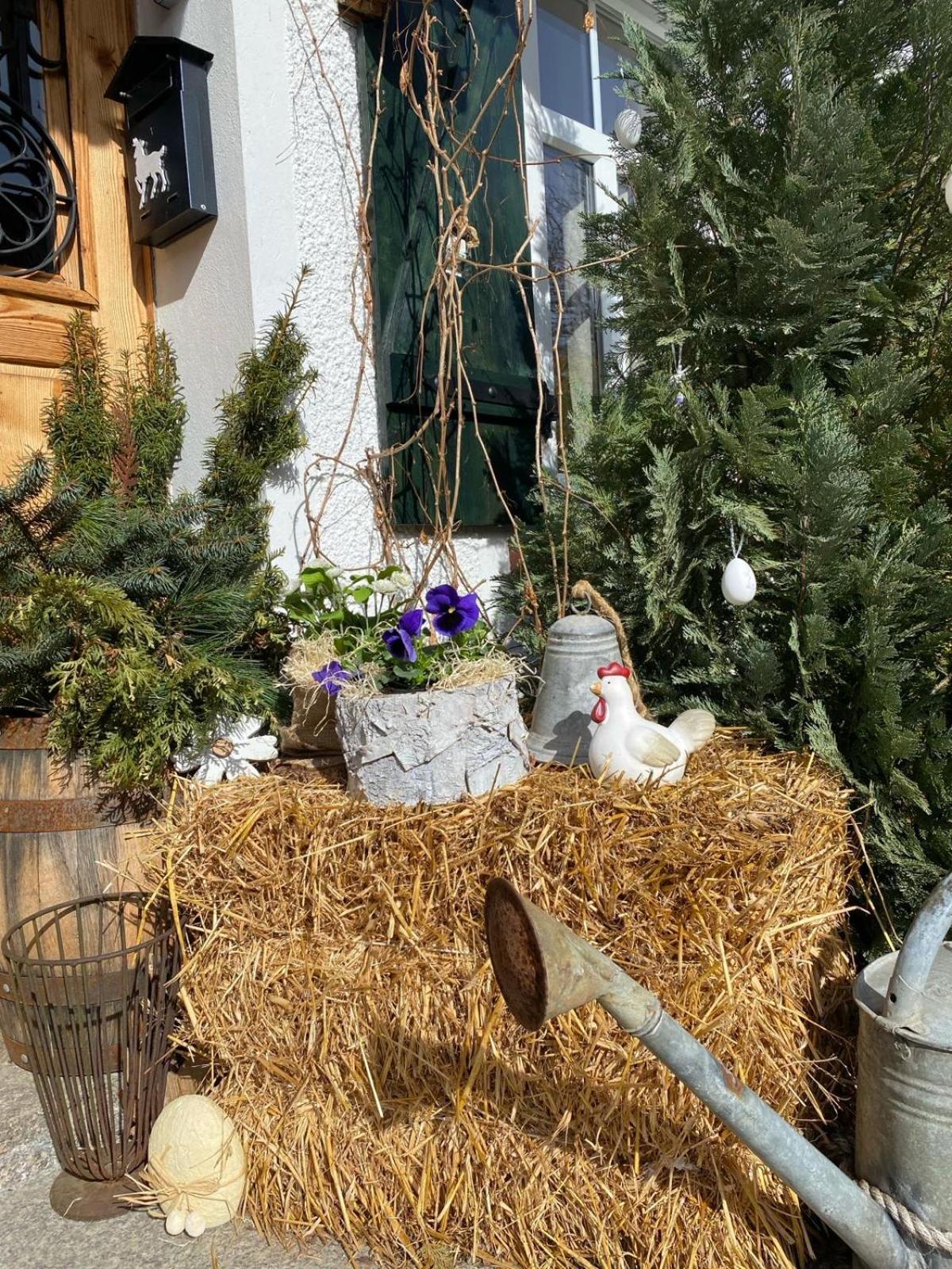 Apartamenty Sudeckie Nad Zalewem IV Sosnowka  Bagian luar foto